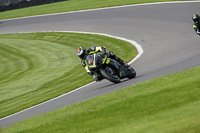 Black Bikes